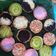 Cooksnap dari Faizatul Jannah untuk resep Terang bulan mini