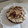 El cooksnap de Rutifrutty cuando hizo Bizcocho de zanahoria y nueces en mambo.