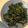 蘇廚 的 烤羽衣甘藍 cooksnap