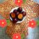 Sonal Doshi's cooksnap of when they made કાલા જામુન (Kala Jamun Recipe In Gujarati).