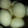Asha Sharma का कुकस्नैप जब उन्होंने रसगुल्ला (Rasgulla recipe in Hindi) बनाया था।