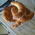 Ancsi Cooksnap-ja, amikor elkészítette a(z) Vajas kifli receptet.