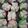 Cooksnap dari biahbbi untuk resep Bolu kukus mekar Ekonomis