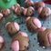 Cooksnap dari Hilma Vilona untuk resep Milo Doggies Cookies
