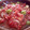El cooksnap de Irene-Guirao cuando hizo Mojete.