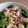El cooksnap de Maine Santillán cuando hizo Ensalada 🥗 rápida y fit.