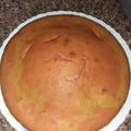 Vio Hanuk's cooksnap of when they made Vanilla cake.