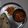 Aastha Patel's cooksnap of when they made Aloo ki sabji.