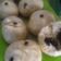 Cooksnap dari Ema Yuanita untuk resep Bakpao Menul Ginul