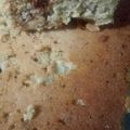 El cooksnap de Mery Zil cuando hizo Barritas tres cereales azúcar Mascabo y frutos secos 👩‍🍳.