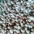 Cooksnap dari Nenk Ara untuk resep Bubble ala Tyka
