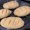 Gabriella Saied Cooksnap-ja, amikor elkészítette a(z) Gluténmentes hosszú zsemle barna rizs,- és zabpehelylisztből receptet.