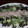 El cooksnap de NeKa 8+1 cuando hizo Ensalada de perdiz en escabeche.