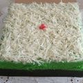 Cooksnap dari Nora U Khaulia untuk resep Brownies Pandan Kukus (ala) Amanda
