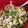 El cooksnap de Ana M Lara Hernández cuando hizo Ensalada con pasta.