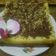 Cooksnap dari Mama R!d!n@ untuk resep Bolu ubi kayu maknyus