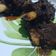 Cooksnap dari Phera Clouds Elf untuk resep Iga bakar teflon