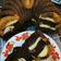 Cooksnap dari Bunda Utiza untuk resep Chocolate Creamcheese Butter Cake