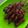 Cooksnap dari Refi Sefgiana untuk resep Sate Daging Bumbu Kacang