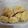El cooksnap de Cynthia Lago cuando hizo Galletitas de limón con harina 000!.
