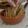 El cooksnap de Naty Kornfeld cuando hizo Crackers de avena y semillas.