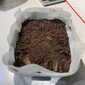 hcp811 的 無蛋香蕉巧克力布朗尼 (可素食) cooksnap