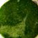 daksha a Vaghela 's cooksnap of when they made લીલી ચટણી (Green chutney recipe in Gujarati).