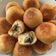 Cooksnap dari Sri Megawaty untuk resep Roti goreng isi daging