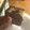 El cooksnap de Boo cuando hizo Plum cake marmolado.