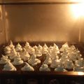 Cooksnap dari Lysa P. Amali untuk resep Schumpies (merengue cookies) manisan putih telur