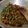 Cooksnap dari Fariz Hadyan untuk resep Tumis tempe kacang panjang