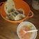 El cooksnap de Cinthia Vallejos cuando hizo Masa para tacos casera al estilo Rapiditas.