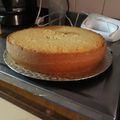 El cooksnap de Meli Vann cuando hizo Bizcochuelo 1, 2, 3, 4.
