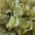 Seema Vadgama's cooksnap of when they made ચોખાના લોટ ના ખીચીયા પાપડ (Rice Flour Khichiya Papad Recipe In Gujarati).