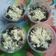 Cooksnap dari Elvi winda untuk resep Oreo cheesecake