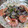 El cooksnap de isabel cuando hizo Merluza a la vasca.