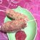 Cooksnap dari Shiap untuk resep Corndog