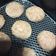 El cooksnap de vero13 cuando hizo Scones de queso en la freidora sin aceite.