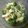 Cooksnap dari Jenny.L Kitchen untuk resep Tumis brokoli no minyak #diet#sehat