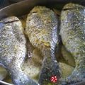 Cooksnap από elenixania στη συνταγή Τσιπούρες με δενδρολίβανο και μουστάρδα