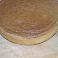 El cooksnap de Ligni cuando hizo Bizcochuelo clásico para hacer una torta.