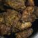 Cooksnap dari Iin Hardianti Senbiring untuk resep Ayam Goreng Ketumbar