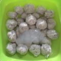 Cooksnap dari Nanan Wahyuni untuk resep Bakso Ikan Lele kenyal