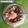 Cooksnap dari Miss Daroinie untuk resep Fermented Salsa