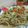 Cooksnap dari Elisabeth Febrina Sebayang (Mak Gege) untuk resep Tumis tauge bakso