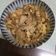 剛剛踏入料理界的害鳥 的 雞肉親子丼-一鍋到底版 cooksnap