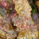 Cooksnap dari Fenti Andriana untuk resep Ayam Pedas Bumbu Bali