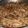 Preeti Chawla 's cooksnap of when they made Chowmein(noodles) veg.