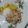 El cooksnap de Yesica Natalia Pereira cuando hizo Strogonoff de Pollo fácil.