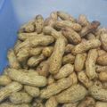 Cooksnap dari Diah Kartika untuk resep Kacang Godog Tahan 1minggu